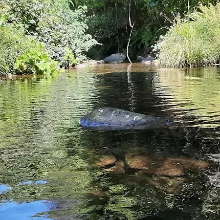 Casa Ribeira * Coentral Das Barreiras