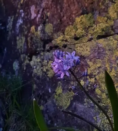 Casa Ribeira * Coentral Das Barreiras