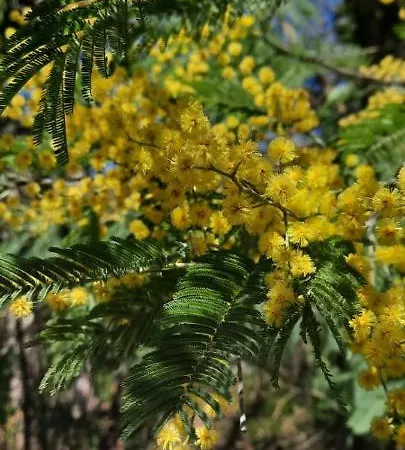 Lejlighed Casa Ribeira *