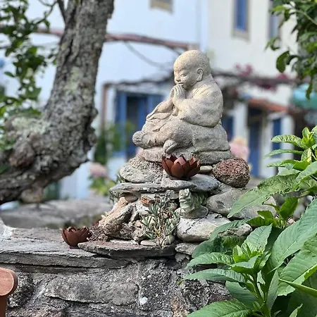 Casa Ribeira Lejlighed Coentral Das Barreiras