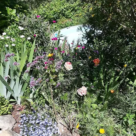 Casa Ribeira Appartement