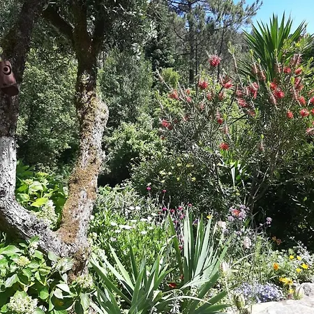 Casa Ribeira * Coentral Das Barreiras