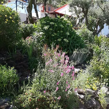 Apartament Casa Ribeira Coentral Das Barreiras