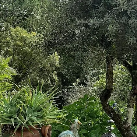 Casa Ribeira Apartament Coentral Das Barreiras