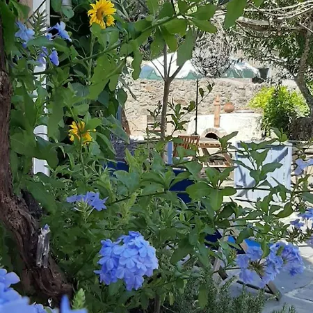 Casa Ribeira * Coentral Das Barreiras