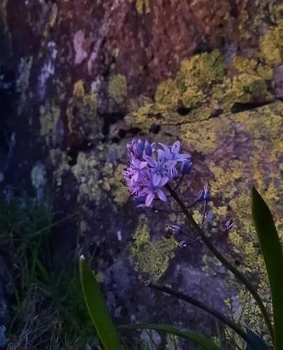 Casa Ribeira * Coentral Das Barreiras