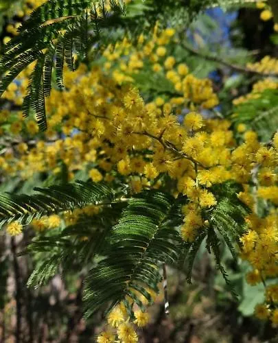 Lägenhet Casa Ribeira *