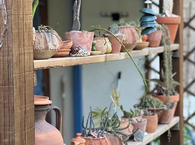 Casa Ribeira *