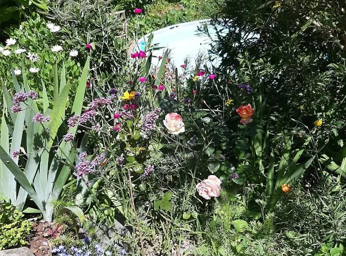 Casa Ribeira Lägenhet