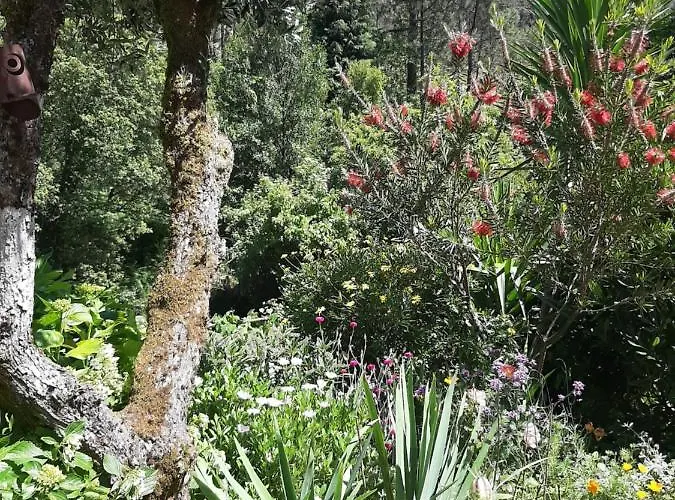 Casa Ribeira * Coentral Das Barreiras