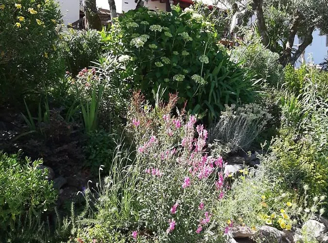 Lägenhet Casa Ribeira Coentral Das Barreiras