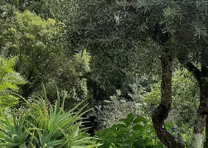 Casa Ribeira Lägenhet Coentral Das Barreiras