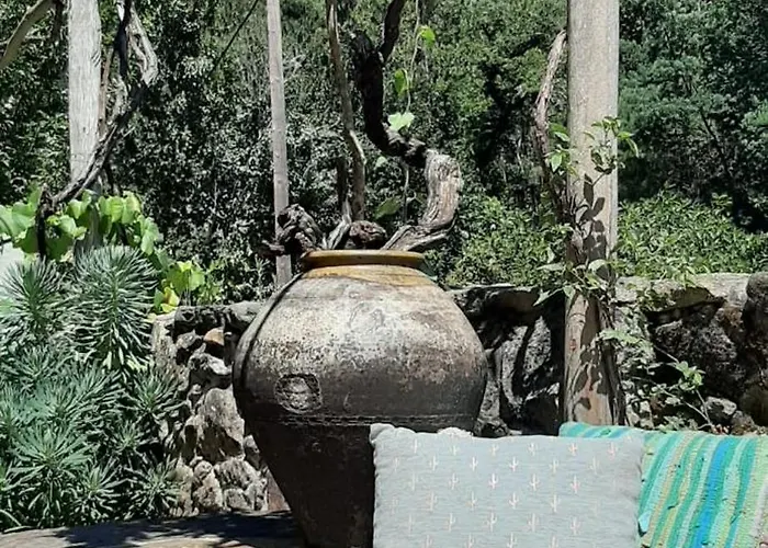 Casa Ribeira Coentral Das Barreiras